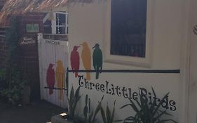 Three Little Birds Camp
