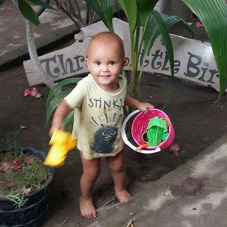 Three Little Birds Homestay Gili Trawangan Exterior photo