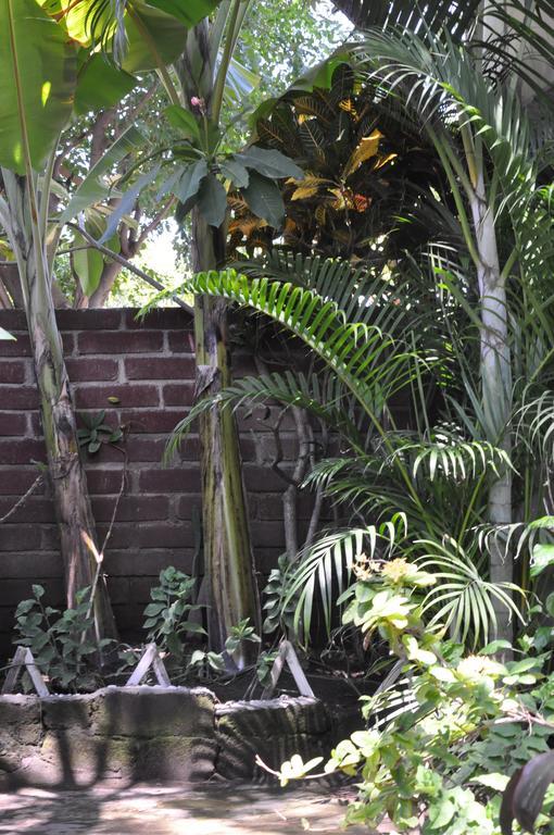 Three Little Birds Homestay Gili Trawangan Exterior photo